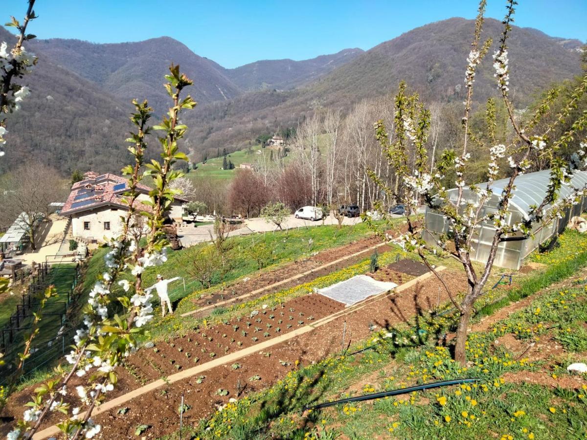 Agriturismo Ca' Fenile Alzano Lombardo Exteriér fotografie