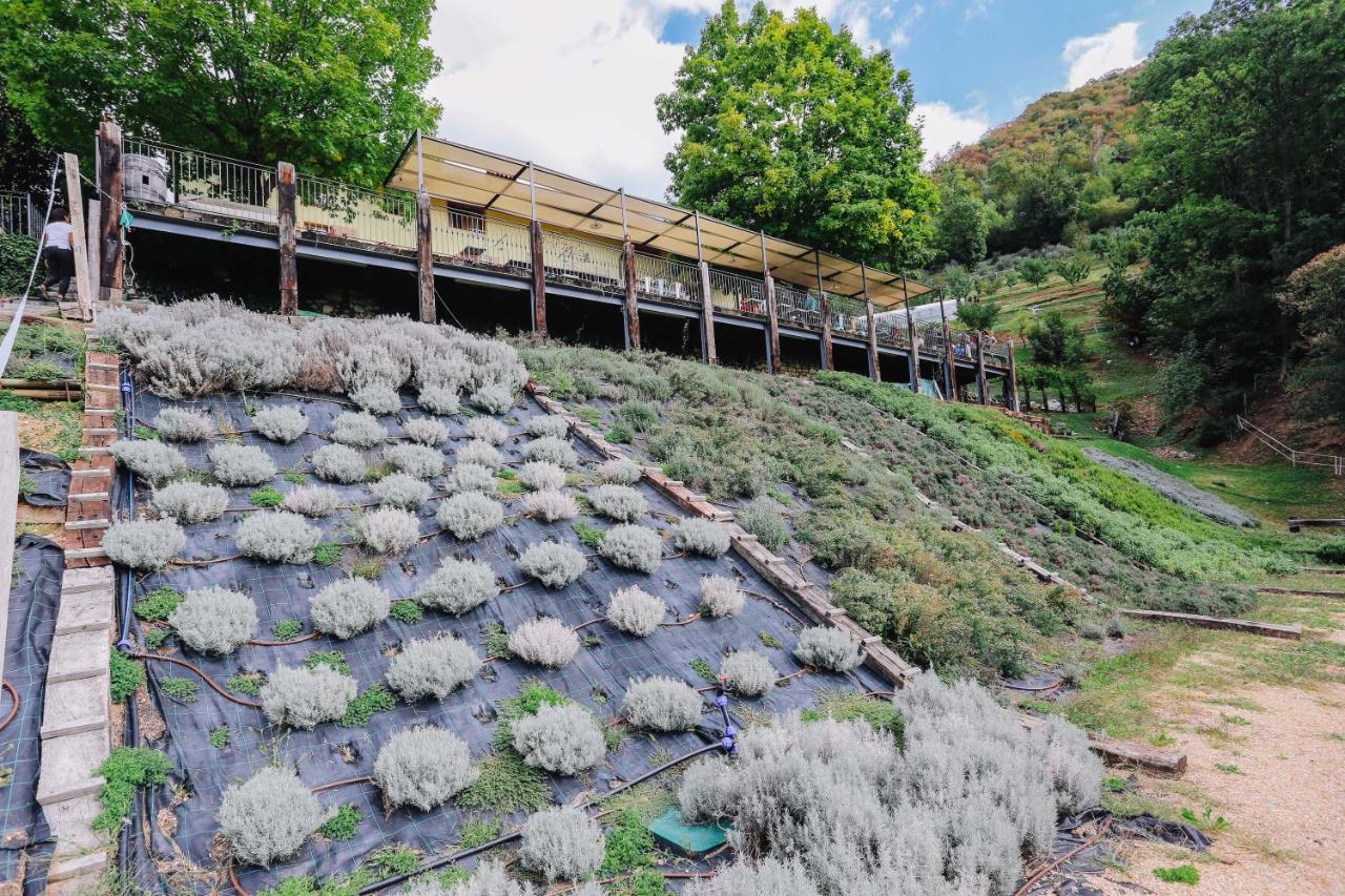 Agriturismo Ca' Fenile Alzano Lombardo Exteriér fotografie