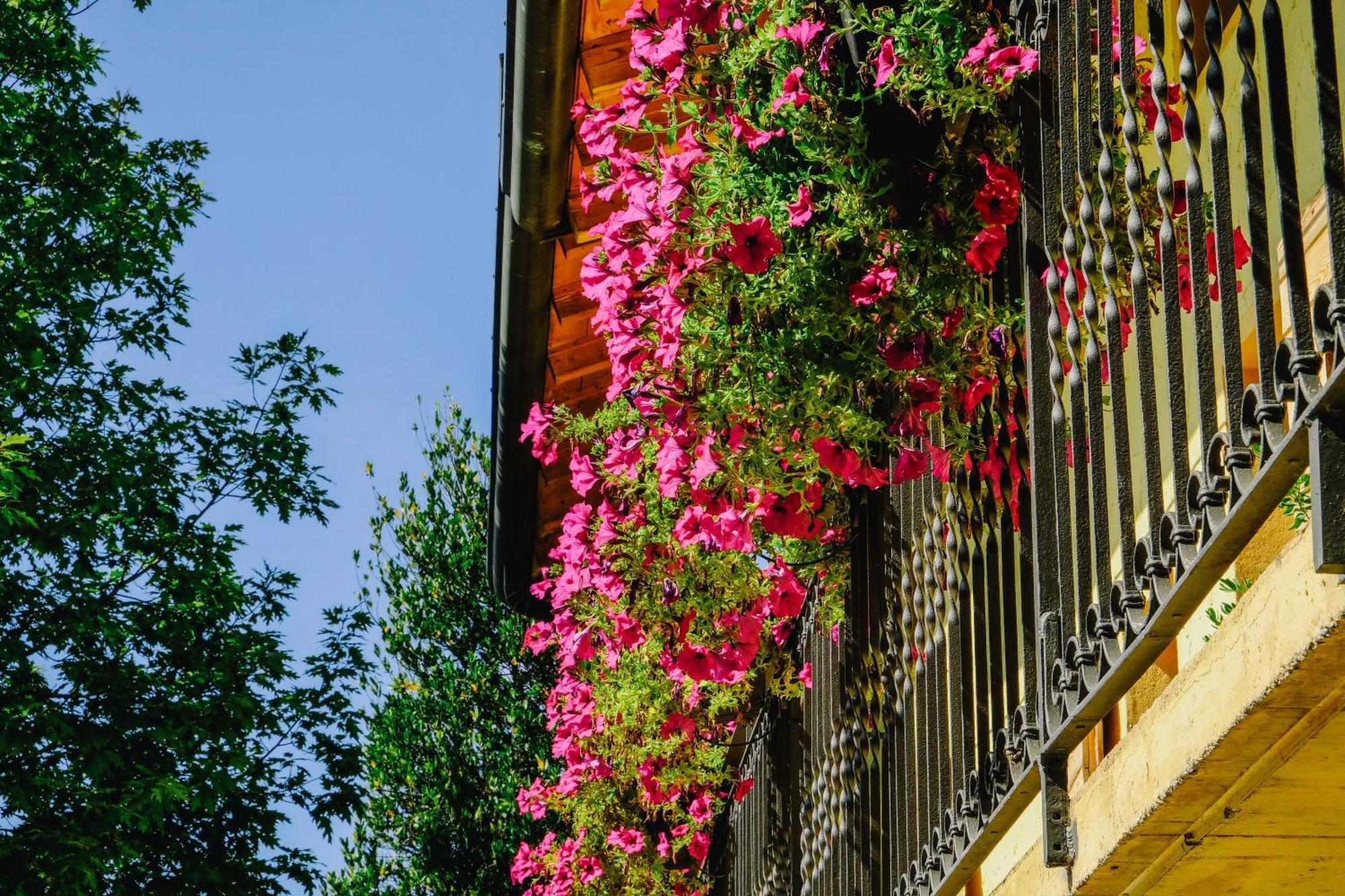 Agriturismo Ca' Fenile Alzano Lombardo Exteriér fotografie